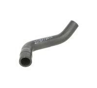 Tubo flessibile del radiatore SASIC 3406133