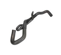 Tubo flessibile del radiatore SASIC 3406145