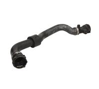 Tubo flessibile del radiatore SASIC 3406238