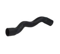 Tubo flessibile del radiatore SASIC 3406355