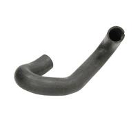 Tubo flessibile del radiatore SASIC 3406365
