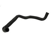 Tubo flessibile del radiatore THERMOTEC DW0539TT per i10 I (PA) 1.1 2011-2013