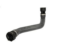 Tubo flessibile del radiatore THERMOTEC DWB036TT per BMW 5 (E39) 2 1996-2003