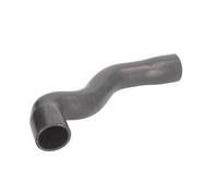 Tubo flessibile del radiatore THERMOTEC DWB039TT
