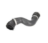 Tubo flessibile del radiatore THERMOTEC DWB040TT