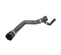 Tubo flessibile del radiatore THERMOTEC DWB047TT