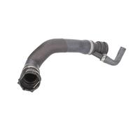 Tubo flessibile del radiatore THERMOTEC DWB048TT