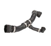 Thermotec Tubo radiatore flessibile DWB147TT superiore per BMW Serie 1 E81/E87 (116i,118i,120i)