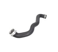 Tubo flessibile del radiatore THERMOTEC DWM010TT sinistro