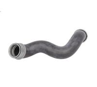 Tubo flessibile del radiatore THERMOTEC DWM024TT per CLASSE E (W212) 2.2 2009-