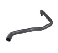 Tubo flessibile del radiatore THERMOTEC DWM055TT destro