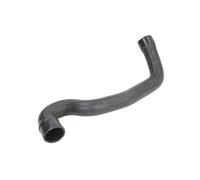 Tubo flessibile del radiatore THERMOTEC DWM207TT