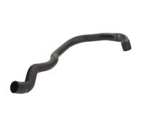 Tubo flessibile del radiatore THERMOTEC DWW022TT