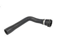 Tubo flessibile del radiatore THERMOTEC DWW120TT per AUDI TT (8N3) 1.8 2002-2006