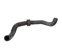 Tubo flessibile del radiatore THERMOTEC DWW529TT