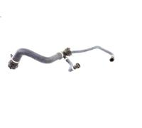 Tubo flessibile del radiatore VAICO V20-0870 per BMW X5 (E53) 4.4 2000-2003
