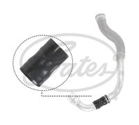 Flessibile aria alimentazione - GATES 09-1298