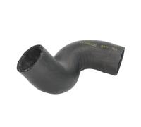 Tubo flessibile dell'aria di carica THERMOTEC DCC075TT