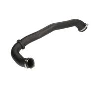 Tubo flessibile dell'aria di carica THERMOTEC DCG172TT