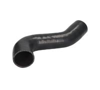 Tubo flessibile dell'aria di carica THERMOTEC DCW295TT