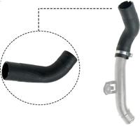 Tubo flessibile dell'aria di sovralimentazione GATES 9-0076 per PANDA 1.3 2010-