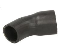 Tubo flessibile dell'aria di sovralimentazione THERMOTEC DCV066TT V50 2 2010-