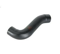 Tubo flessibile dell'aria di sovralimentazione THERMOTEC DCW012TT A3 1.9 1996-