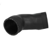 Tubo flessibile dell'aria di sovralimentazione THERMOTEC DCW076TT per A3 2 2003-