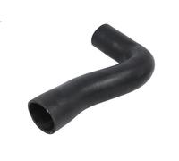 Tubo flessibile dell'aria di sovralimentazione THERMOTEC per 807 (EB_) 2.2 2004-