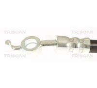 Tubo flessibile freno 8150 13254 TRISCAN per LEXUS IS II IS C