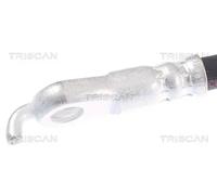 Tubo flessibile freno 8150 13262 TRISCAN per LEXUS RX