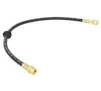 Tubo flessibile freno Assale anteriore bilaterale C80902ABE ABE per MINI MINI