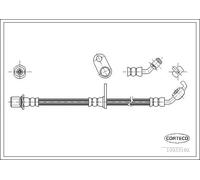 Tubo flessibile freno Assale anteriore Dx 19033102 CORTECO per TOYOTA RAV 4 II