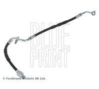 Tubo flessibile freno Assale anteriore Dx ADM553107 BLUE PRINT per MAZDA