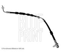 BLUE PRINT ADM553125 Tubo freno