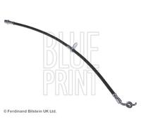 Tubo flessibile freno Assale anteriore Dx ADT353196 BLUE PRINT per TOYOTA