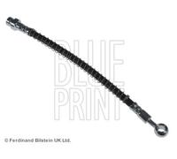 1 TUBO FRENO ANTERIORE BLUE PRINT ADG05392