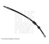 Tubo flessibile freno Assale anteriore Sx ADM55389 BLUE PRINT per MAZDA 5 3