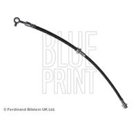 Tubo flessibile freno Assale anteriore Sx ADN153196 BLUE PRINT per NISSAN