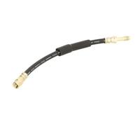 Tubo flessibile freno Assale posteriore C80215ABE ABE per BMW 5