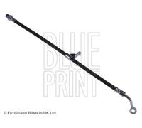 Tubo flessibile freno Assale posteriore Dx ADG053290 BLUE PRINT per OPEL