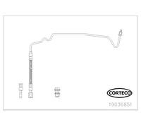 Tubo flessibile freno Assale posteriore Sx 19036851 CORTECO per AUDI SKODA VW