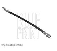 Tubo flessibile freno Assale posteriore Sx ADG053310 BLUE PRINT per KIA HYUNDAI