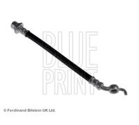 Tubo flessibile del freno BLUE PRINT ADT353268