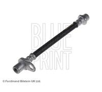Tubo flessibile del freno BLUE PRINT ADT353269