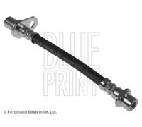 Tubo flessibile del freno BLUE PRINT ADT353367