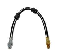 DELPHI LH0219 Flessibile del freno per BMW