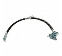 Tubo flessibile del freno DELPHI LH6815, destro
