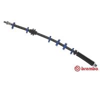 Tubo flessibile freno T 23 112 BREMBO per FIAT LANCIA
