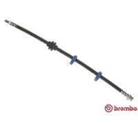 Tubo flessibile freno T 23 115 BREMBO per FIAT LANCIA
